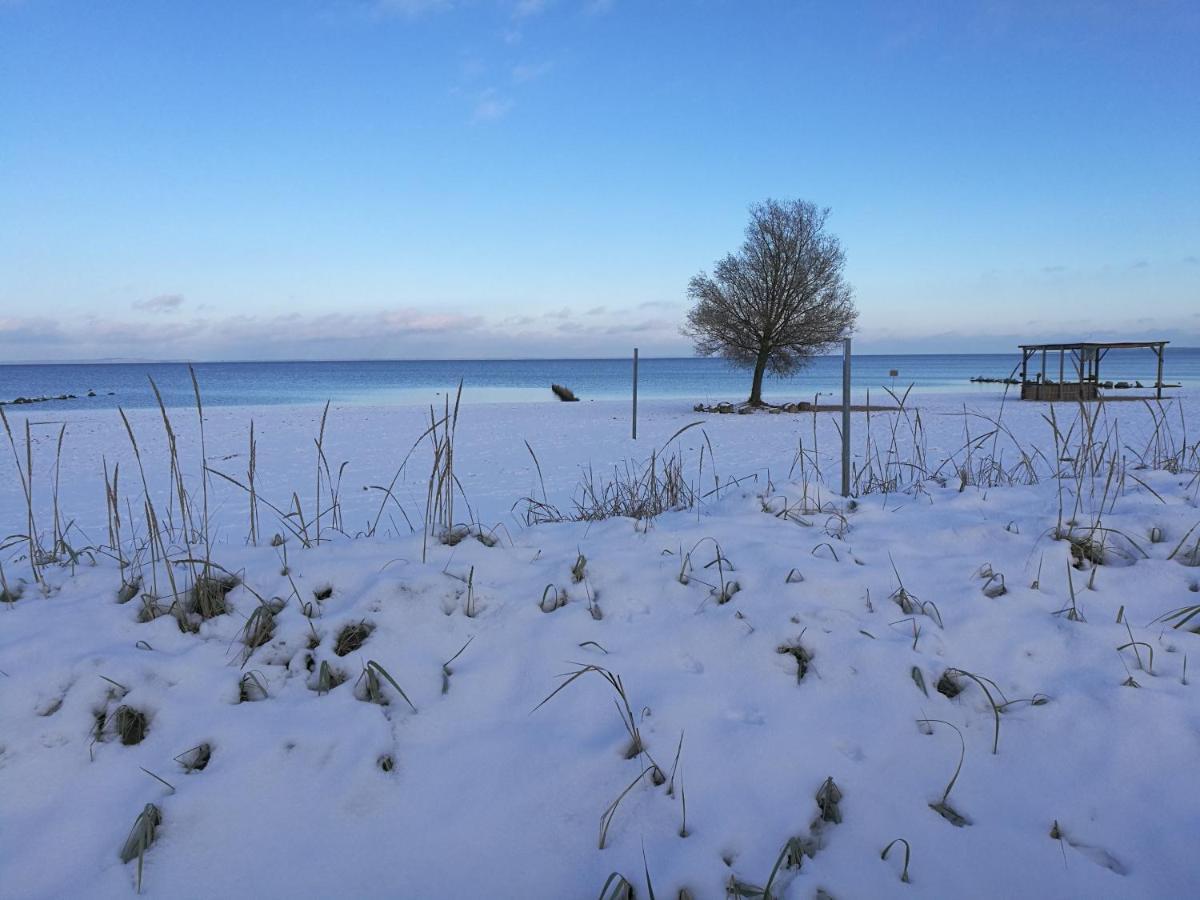 Fewo "Hafenblick" Ueckermünde Exterior foto